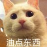 啊哈 的头像