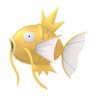 Profilbild von ただたく