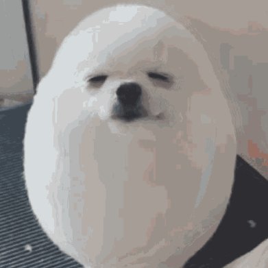 trix32x's profile picture