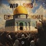 Akh Alper's profile picture