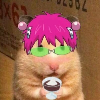 VsPpyp's profile picture