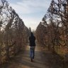 alex zeleksonov's profile picture