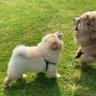 Shira profil fotoğrafı