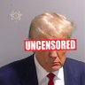 Conservative Uncensored's profile picture