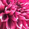 Фото профиля くう間もん