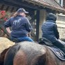 Profilbild von Thefirehorse