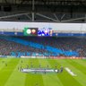 lcfc 的头像