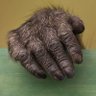 Sir Alpha's profile picture
