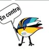 Cristian Alaves's profile picture