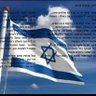רינת עשור's profile picture