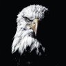 Profilbild von Kerem 54