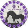 Alison M Thomas ✝️ 🐾🐾 profil fotoğrafı