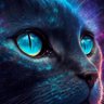 mohammed 9indil profil fotoğrafı
