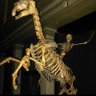 dogduhdug profil fotoğrafı