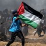 Amr rosario 🇵🇸 的头像