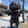 ネコおばさんの夫's profile picture