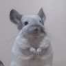 ananda🐇 profil fotoğrafı