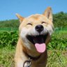 ワイ's profile picture