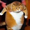 Profilbild von Integrity: 85kg