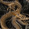 GoldDragon8769 的头像