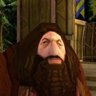 Profilbild von Rubeus Hagrid 