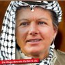 BörnHoecke's profile picture