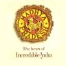 Madhya Pradesh Tourism's profile picture