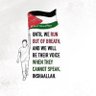 Moran Saifer's profile picture