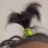 Profilbild von T