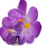 خلود 💫 的头像