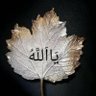 R Alzaim profil fotoğrafı