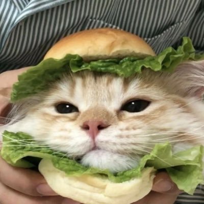 yanzua114514's profile picture