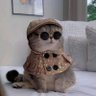 Фото профиля Novelty Pet