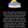 ricalülislam 的头像