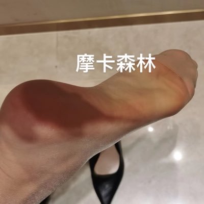 摩卡森林🧦's profile picture