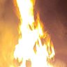 HogFire's profile picture