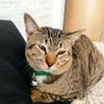 Manju cri'sis profil fotoğrafı
