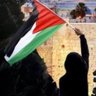 Abou Rumaysah 🇯🇴's profile picture