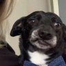 emanuelle's profile picture