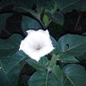 Фото профиля الحلم1998البديل2