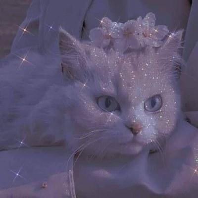Mumu_.'s profile picture