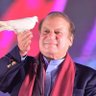 Asadullahارائیں's profile picture