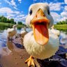 cNbYte profil fotoğrafı
