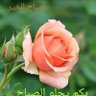 الاسيفة ام مالك profil fotoğrafı