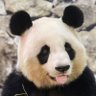 hiro’s an's profile picture