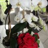Фото профиля Inarmonie