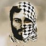 روح العماد's profile picture