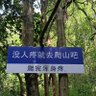 无限's profile picture
