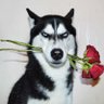 Фото профиля Froi