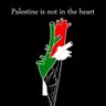 Фото профиля Nazakat 🇵🇸✊🏻♥️☝🏻🤲🏻🇵🇰